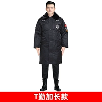 T Qin Plus Long Model