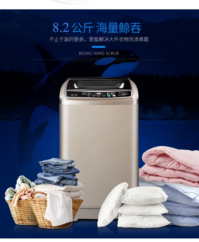 Máy giặt Shigao hộ gia đình tự động 8.2KG sấy khô bánh xe sóng công suất lớn giặt và sấy khô một XQB82-5A238