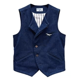 Можно поднять и упасть и старый - летающий персонал ВВС индиго голубых.