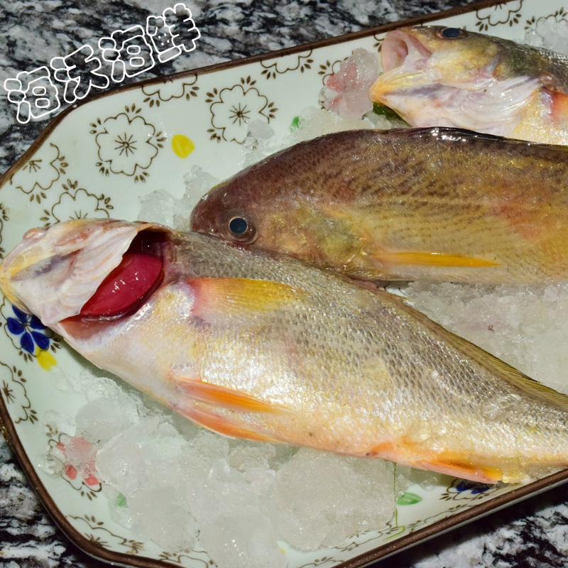 Cá biển hoang dã, tươi, cá xuân, cá vàng, cá vàng, 1 kg, 4 kg, SF