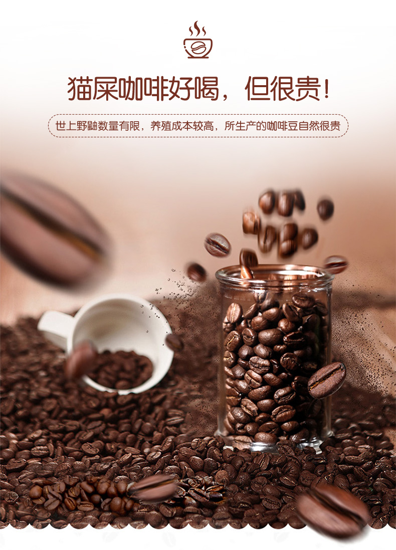 日本 KOPILUWAK COFFEE 野鼬咖啡 280ml*6瓶装 图4