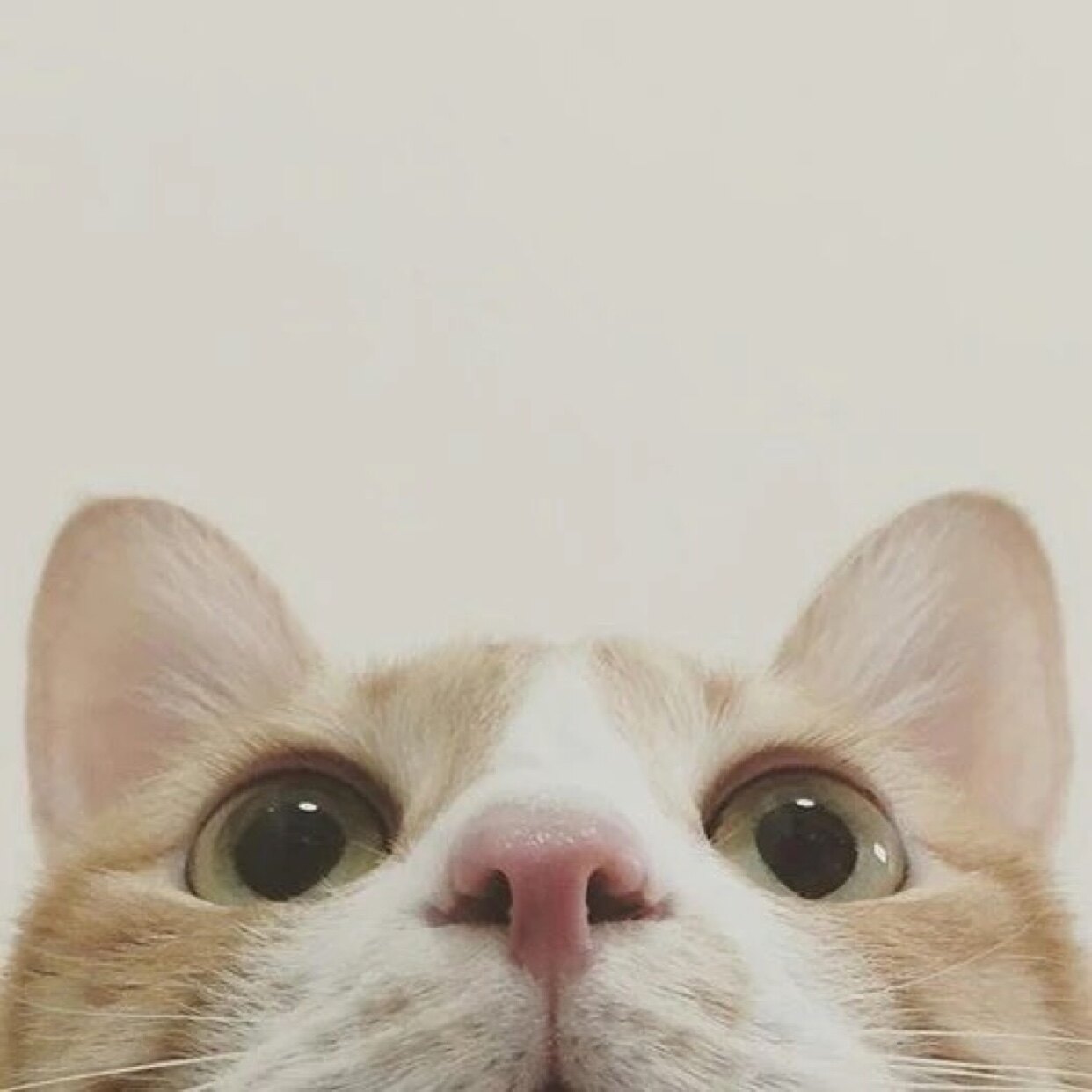 Universal shot postage link to make up the difference, new customers see clearly and then shoot