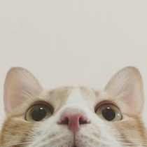 Universal shot postage link to make up the difference new customers see clearly and then shoot