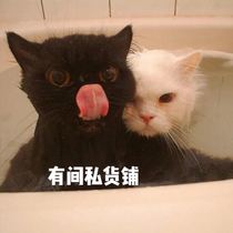 Share good things with a conscience research and develop black technology good news for lazy people get rid of the meat and become a goddess