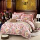 Yu Lu Hàn Quốc bông bedspread bông ren giường công chúa váy một gia đình bốn 1.8m1.5 bộ giường m giường - Bộ đồ giường bốn mảnh chăn đệm