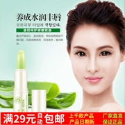 Boquan Ya Aloe Repair Dưỡng ẩm Lip Balm Giữ ẩm Desalination Lip Lip Lip Care Lip Balm