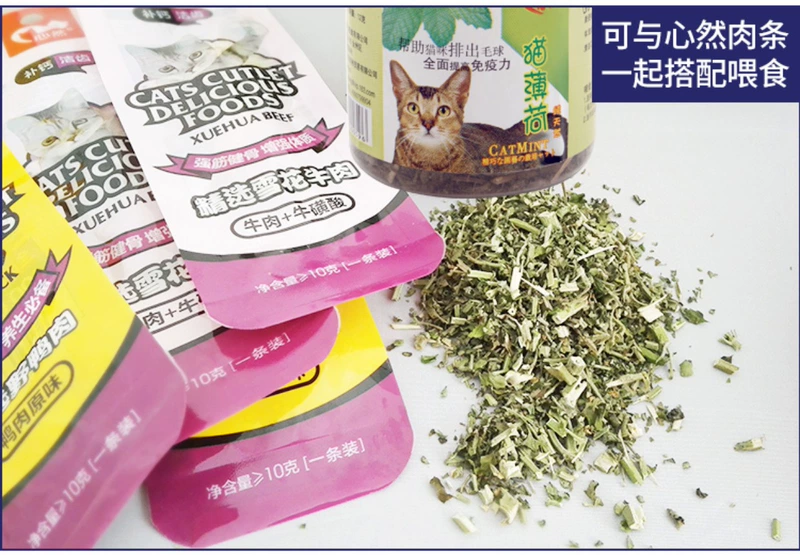 Tự nhiên catnip mèo ăn nhẹ mèo cỏ để bóng tóc bài tiết tóc bóng điều hòa dạ dày tăng cường miễn dịch 12g - Cat / Dog Medical Supplies