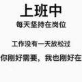 奔沃金属材料供应