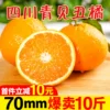 Товары от 二帅旗舰店