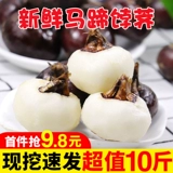 Свежая подкова 10 фунтов 当 新 新 新 新 新 新 新 新 新 饽 饽 荠 荠 新 新 新 新 新 新 新 新 新 新 新