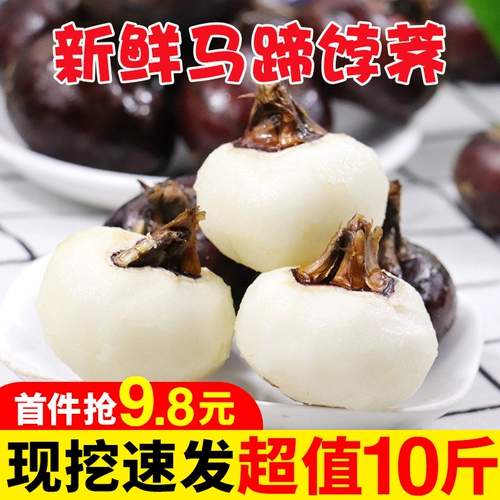 Свежая подкова 10 фунтов 当 新 新 新 新 新 新 新 新 新 饽 饽 荠 荠 新 新 新 新 新 新 新 新 新 新 新