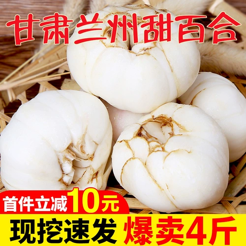 Fresh Lanzhou Lily New Couging Gansu Lily 4 фунта чистого съедобного сырого сладкого белого и необработанного товара специальные продукты