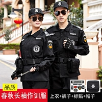 Осенний лонгслив, штаны, шапка