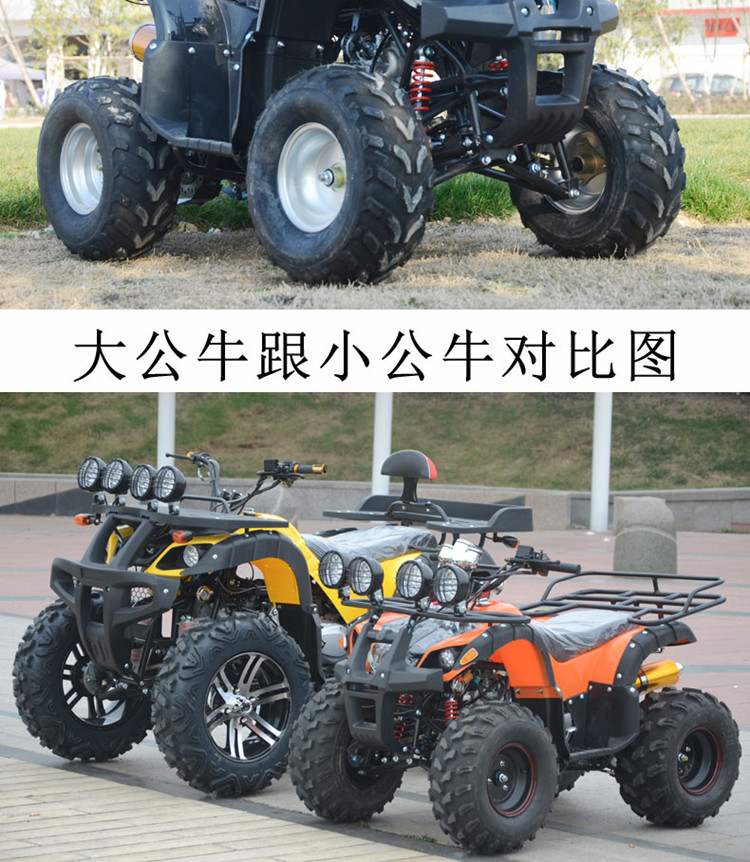 Big Bull ATV bốn bánh off-road xăng ATV đôi người lớn xe máy núi 250cc làm mát bằng nước