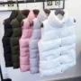 2018 mới xuống áo vest cotton mùa đông dày của phụ nữ mùa thu đông áo khoác nữ hàn quốc