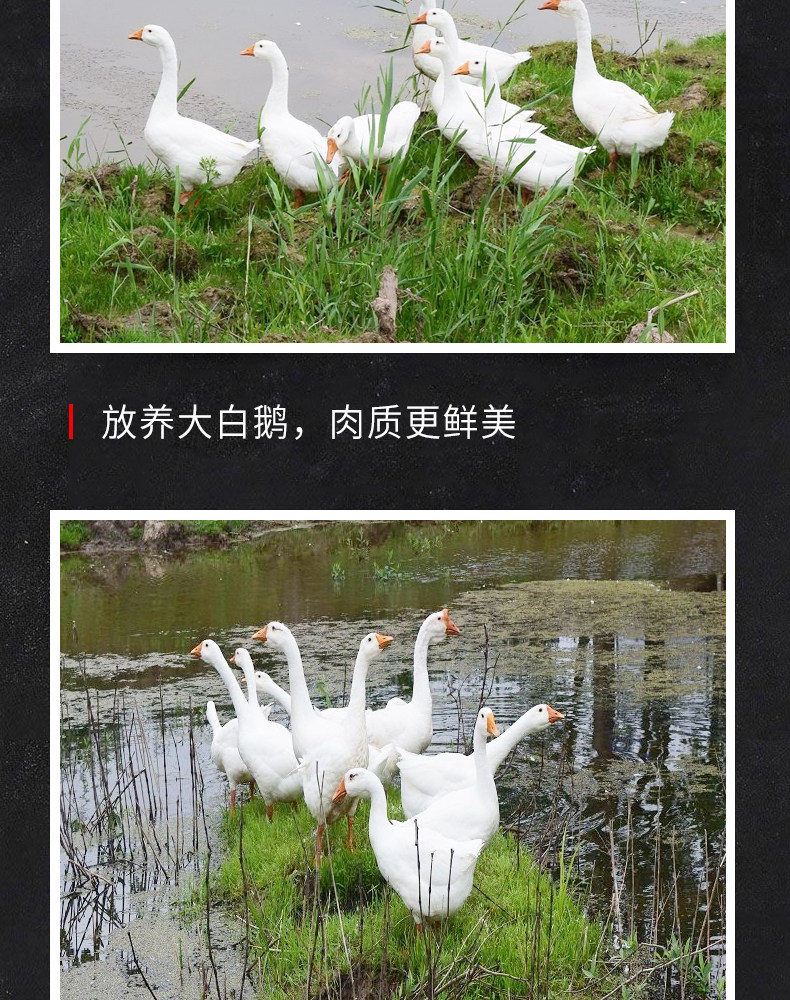 农家散养大鹅 净重7斤 现买现杀 保留内脏 图9