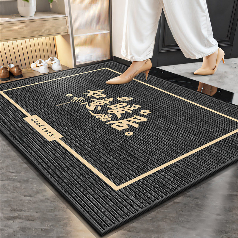 Entrance door floor mat 2025 new entry door mat anti-slip
