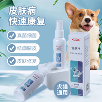Dog skin disease treatment of pyramid specialized drug spray for pyramid cat moss
