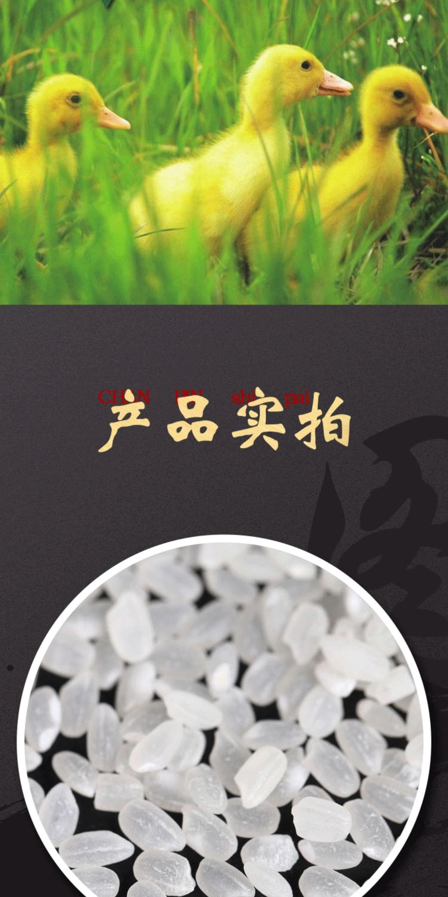 安享好物 安享C级粳米-鸭泉有机贡米 国标