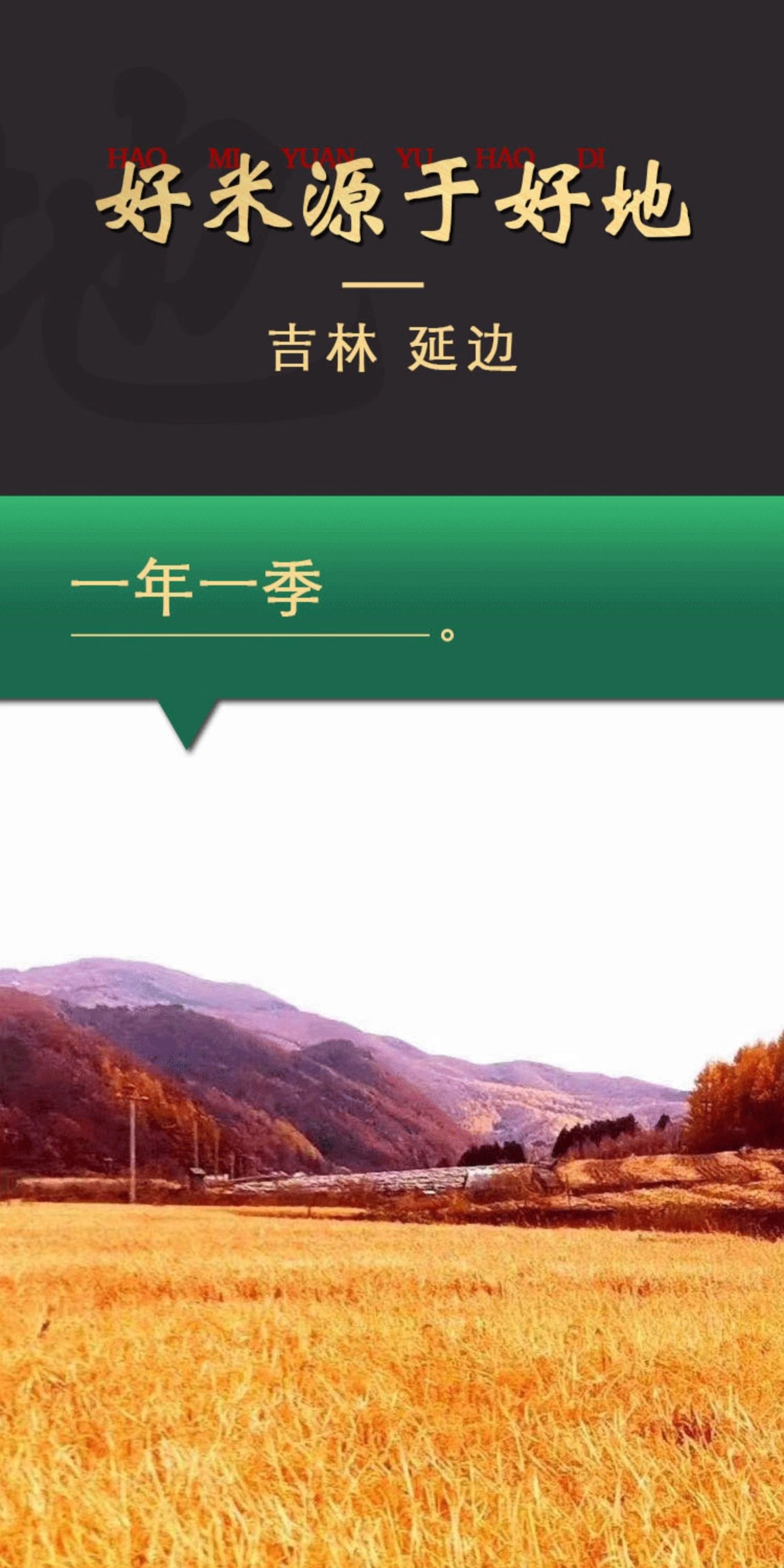 安享好物 安享C级粳米-鸭泉有机贡米 国标