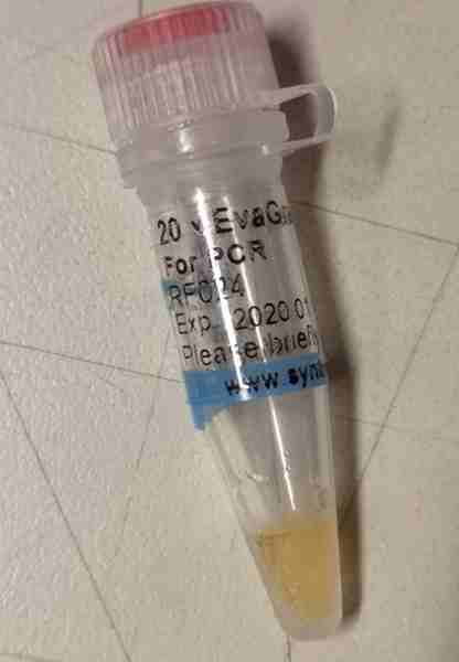 20&times;EvaGreen荧光染料