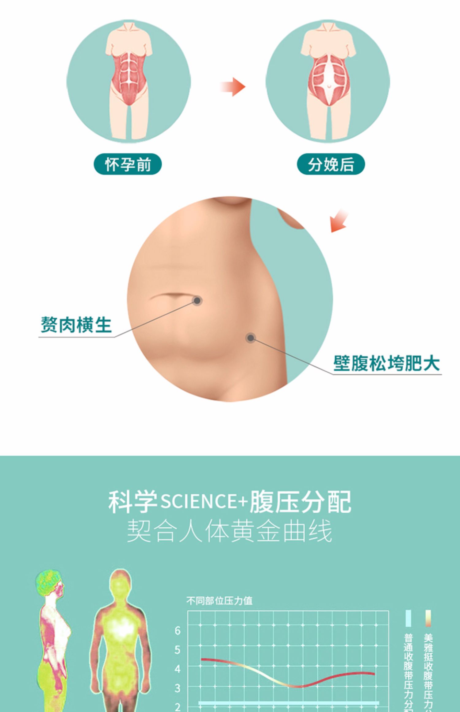 Bụng thắt lưng corset đai thắt lưng nữ mùa hè đốt mỡ corset bụng mỏng cơ thể eo nhựa nhân tạo sau sinh - Đai giảm béo đai nịt bụng giảm mỡ