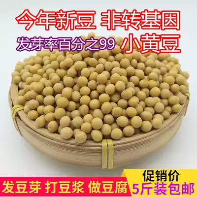 20 years of new soybean farmers grow their own non-genetically modified soybeans, make bean sprouts, make soy milk, make tofu, bulk 5 pounds