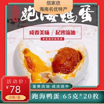 Hainan Danzhou running sea duck eggs authentic oil ancient method pickled salty unsalty egg roasted sea duck egg gift box