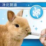 Кролик, витаминизированный пробиотик, питание, 150G