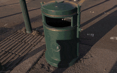 anamorphic_bin.gif