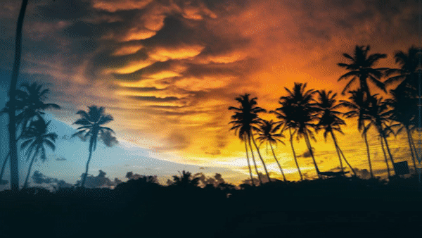 ezgif.com_video_to_gif_copy_8.gif
