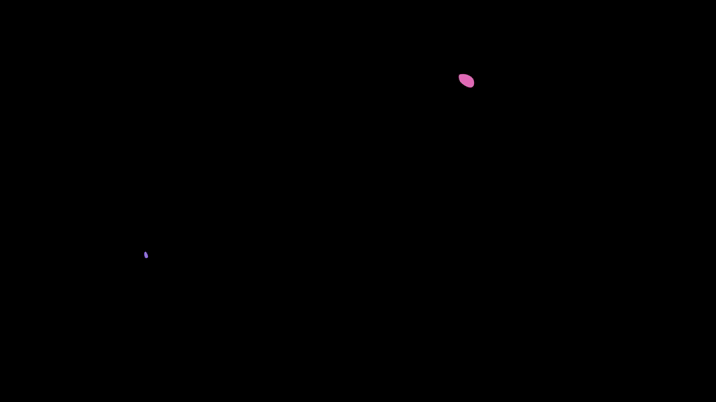 10036.gif