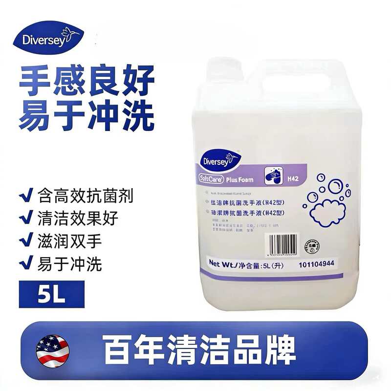 Diversey Taihuashi Silk Clean Antibacterial Hand Sanitizer 5L Refill H42 Foam Type 101004944