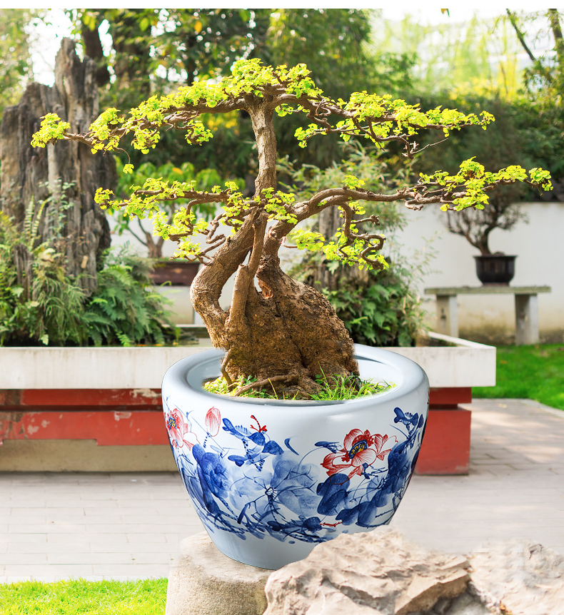 Jingdezhen ceramics tank size small water basin bowl lotus lotus cylinder cylinder tortoise porcelain jar water lily cylinder