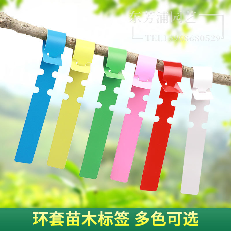 Ring set label flower plant seedling ring buckle gardening sign card rose plastic anti-fruit tree bonsai sign