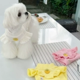 Walv GE летающий рукав нижняя рубашка для любимой собаки весна и летняя футболка Тедди Йорксонби Панда Жилет хлопок