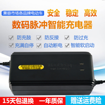 Electric car battery charger 48V12AH20AH60V64V72V for Emma New Day Yadi knife