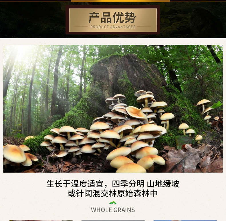 首粮然萃 8种干菌 山珍年货礼盒 1330g 图9
