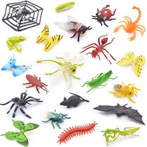 Simulation solid insect animal toy butterfly Spider bee Dragonfly mantis grasshopper model set childrens toy