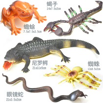 Solid simulation crocodile Snake Scorpion spider toad reptile big animal insect animal model children boy toy