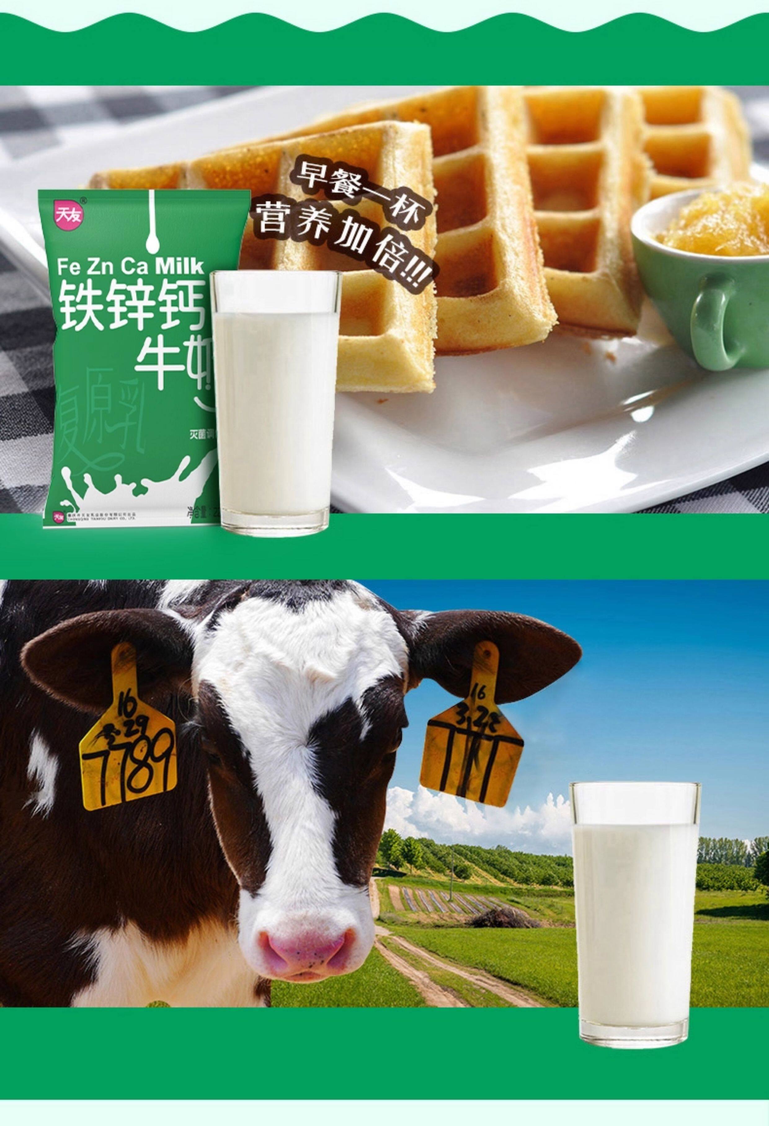 安享好物 安享E级纯奶-天友铁锌钙牛奶 国标 