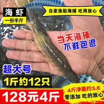 (1 catty about 12)Live shrimp Fresh shrimp (king size) Wild sea shrimp shrimp fresh base Wai shrimp Big green shrimp