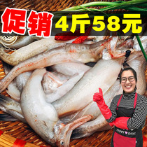 Longtou fish Fresh tofu fish Nine belly fish Wild sea fishing seafood Aquatic products fresh net fish No ice