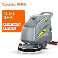 RS-D4Z литийная батарея без