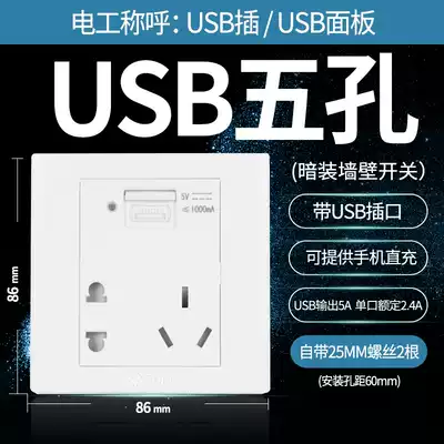 Bull switch socket Panel 5 five-hole two-three plug transformer DC 5VUSB charging 86 type wall power socket