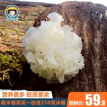 Aiais home Basswood silver fungus dry goods Gutian white fungus sulfur-free ugly ear Waxy ear Lotus seed soup material 80g