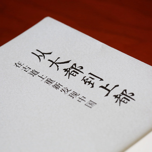 从大都到上都 罗新 著 著 中国近代随笔文学 新华书店正版图书籍 新星出版社