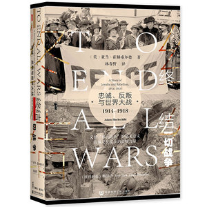 终结一切战争(忠诚反叛与世界大战1914-1918)(精) (美)亚当·霍赫希尔德 著 林春野 译 欧洲史社科 新华书店正版图书籍
