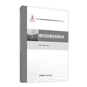 煤矸石资源化利用技术 王栋民,房奎圳 编 建筑/水利（新）专业科技 新华书店正版图书籍 中国建材工业出版社