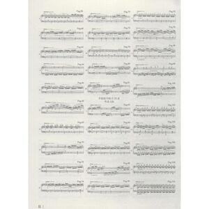 杜维诺依钢琴练习曲60首 陈学元 著 陈学元 编 第1版 译 平装绘 音乐（新）艺术 新华书店正版图书籍 南京师范大学出版社